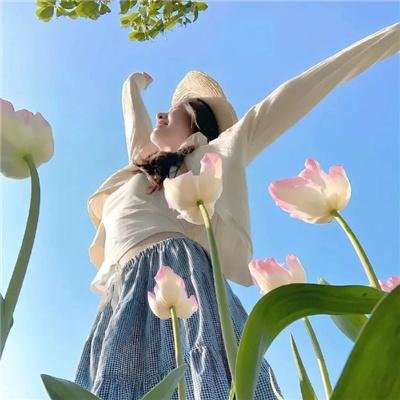 铁观音勇破爆炸党